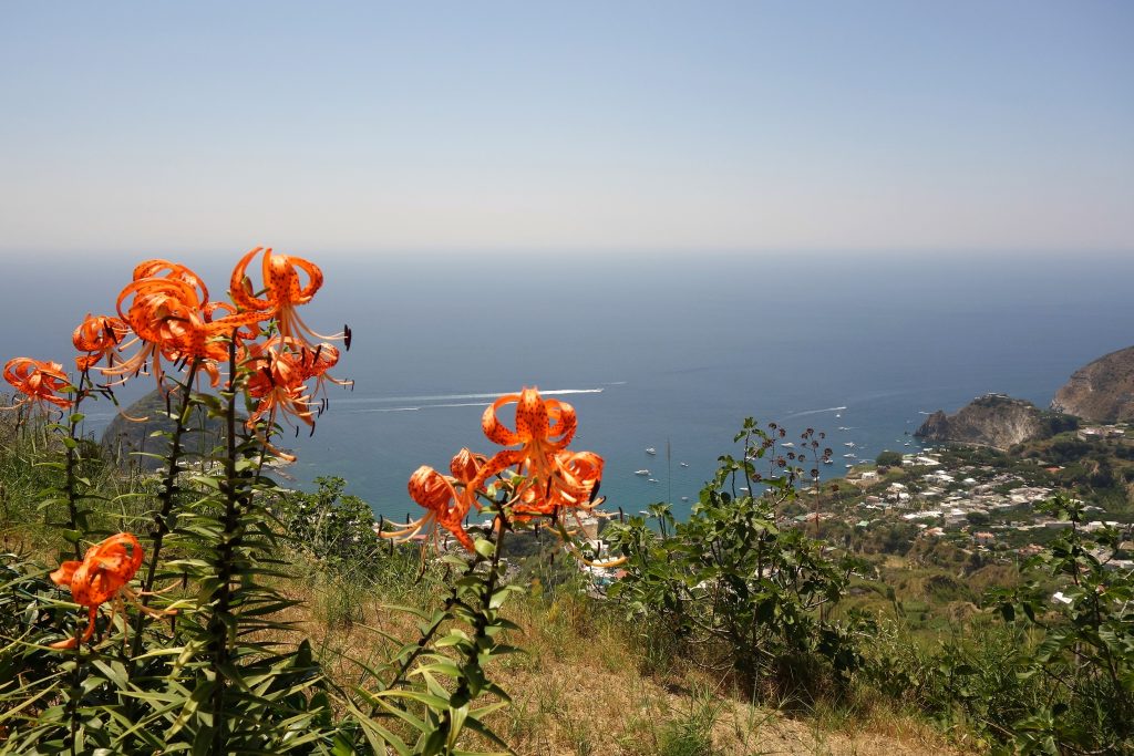 rando à ischia