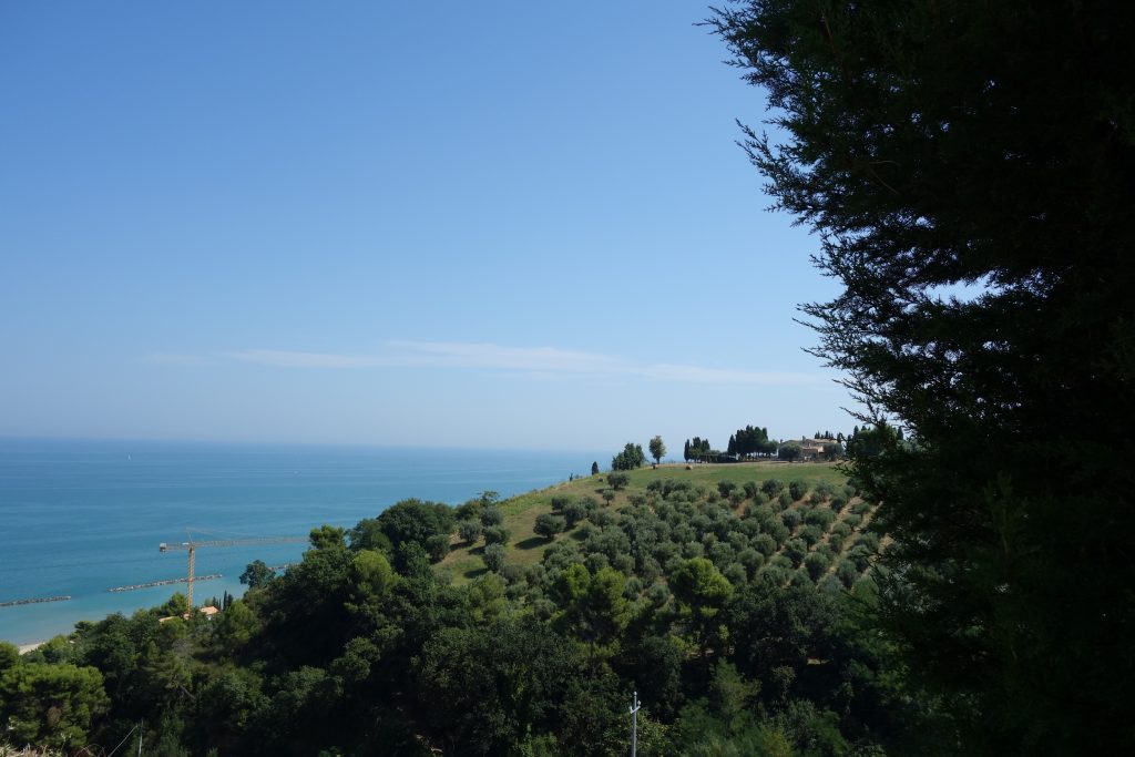 visiter les marches cupra alta