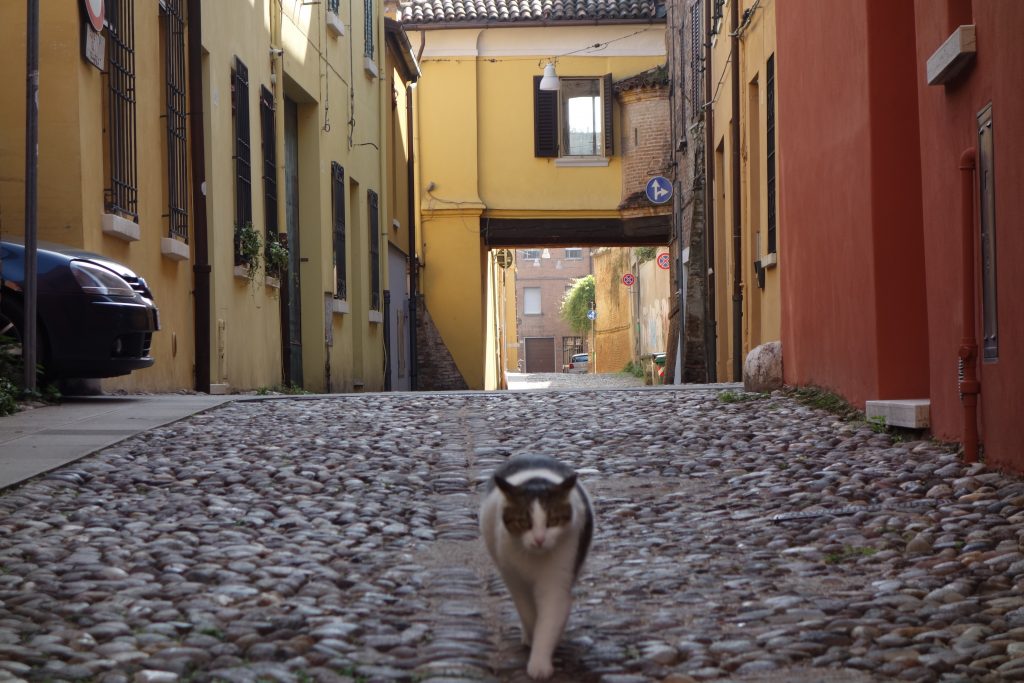 ferrara chat