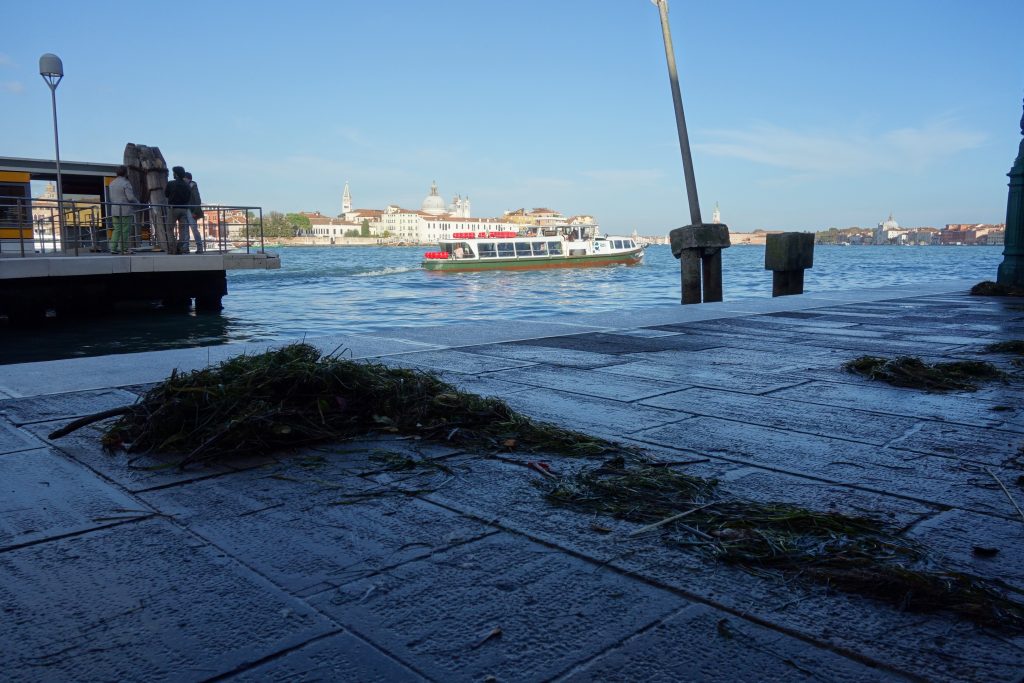acqua alta venise