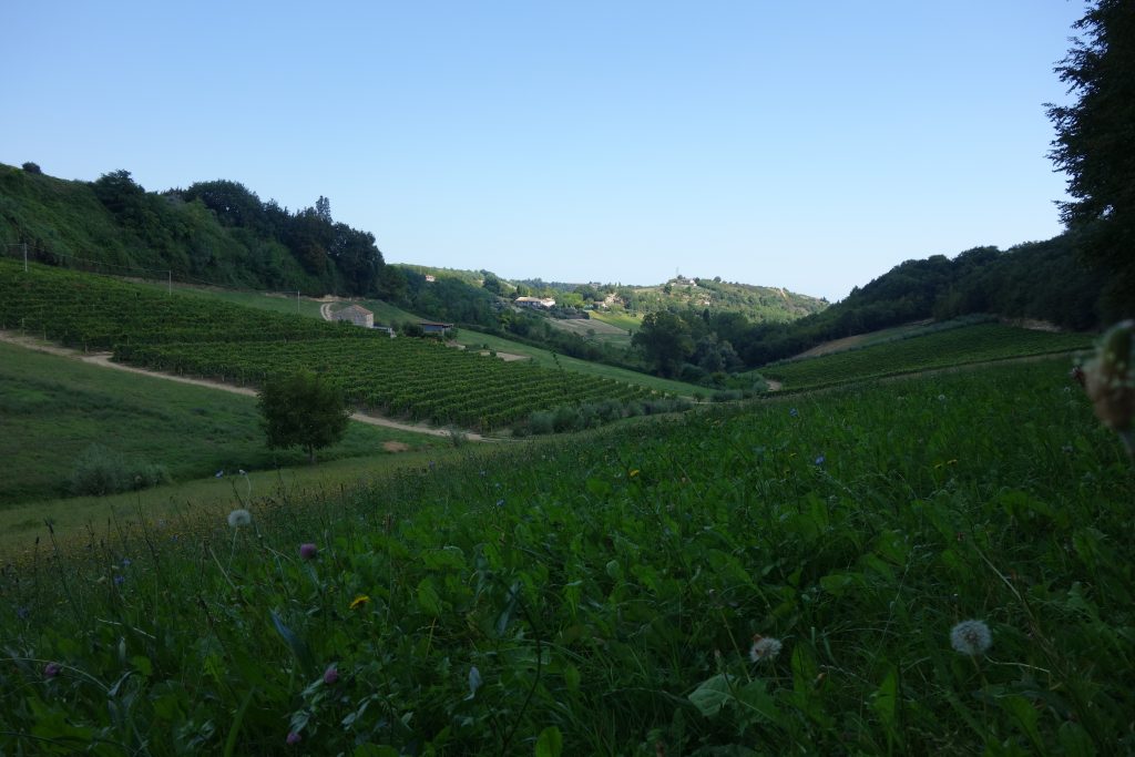 visiter les marches vin