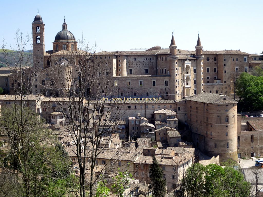 visiter les marches urbino